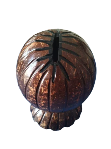 Coconut Shell Coin Box