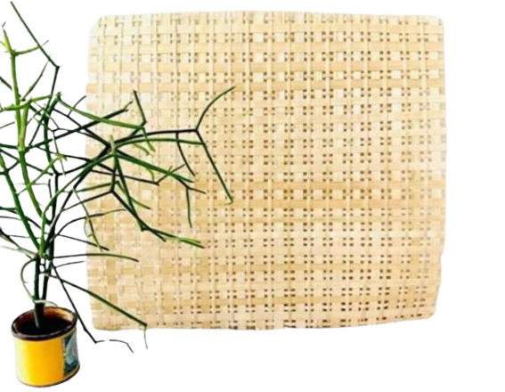 Natural Bamboo Mat