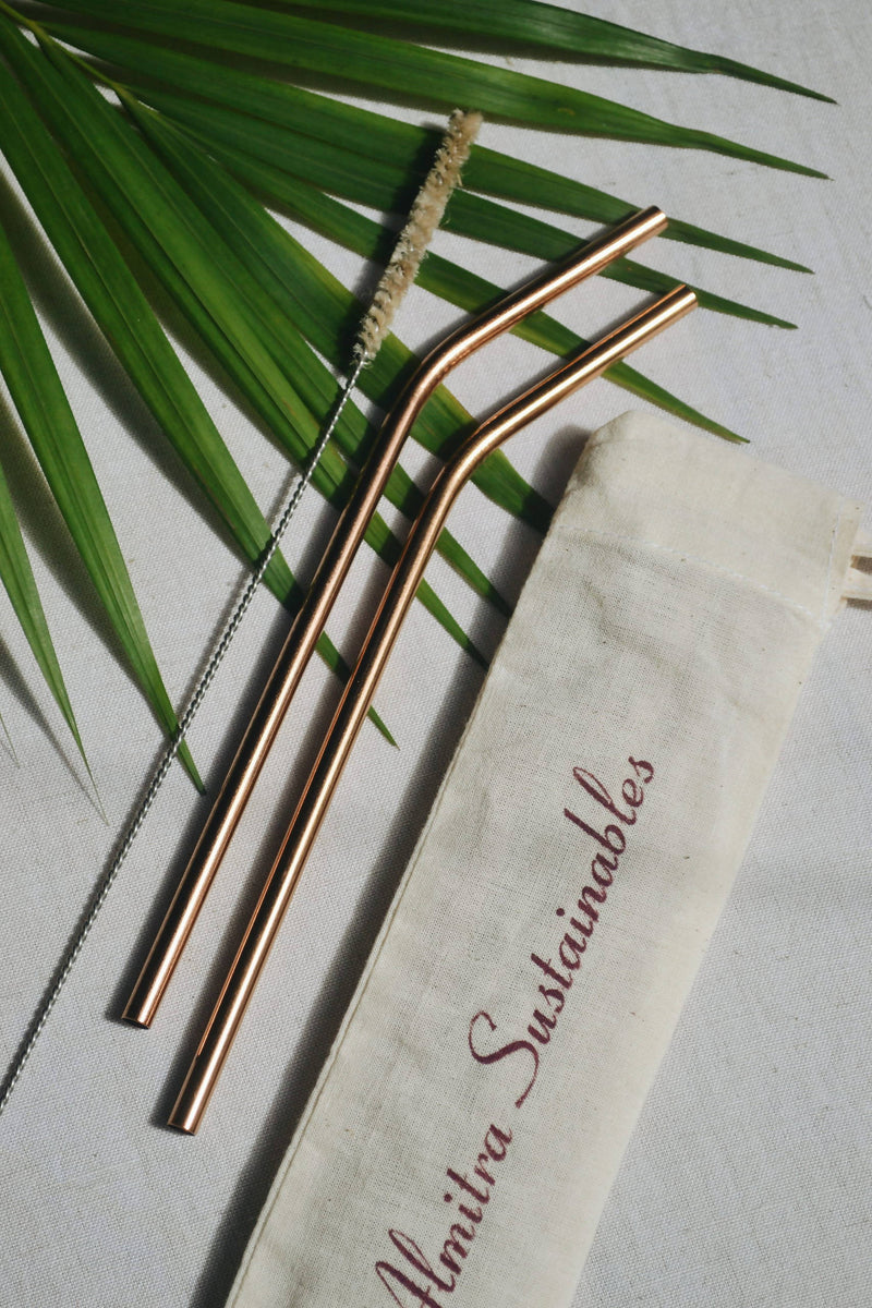 REUSABLE COPPER STRAW WITH CLEANER | Home & Garden